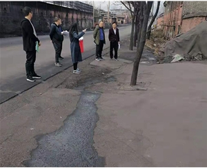 縣委、鎮(zhèn)府領導驗收工程